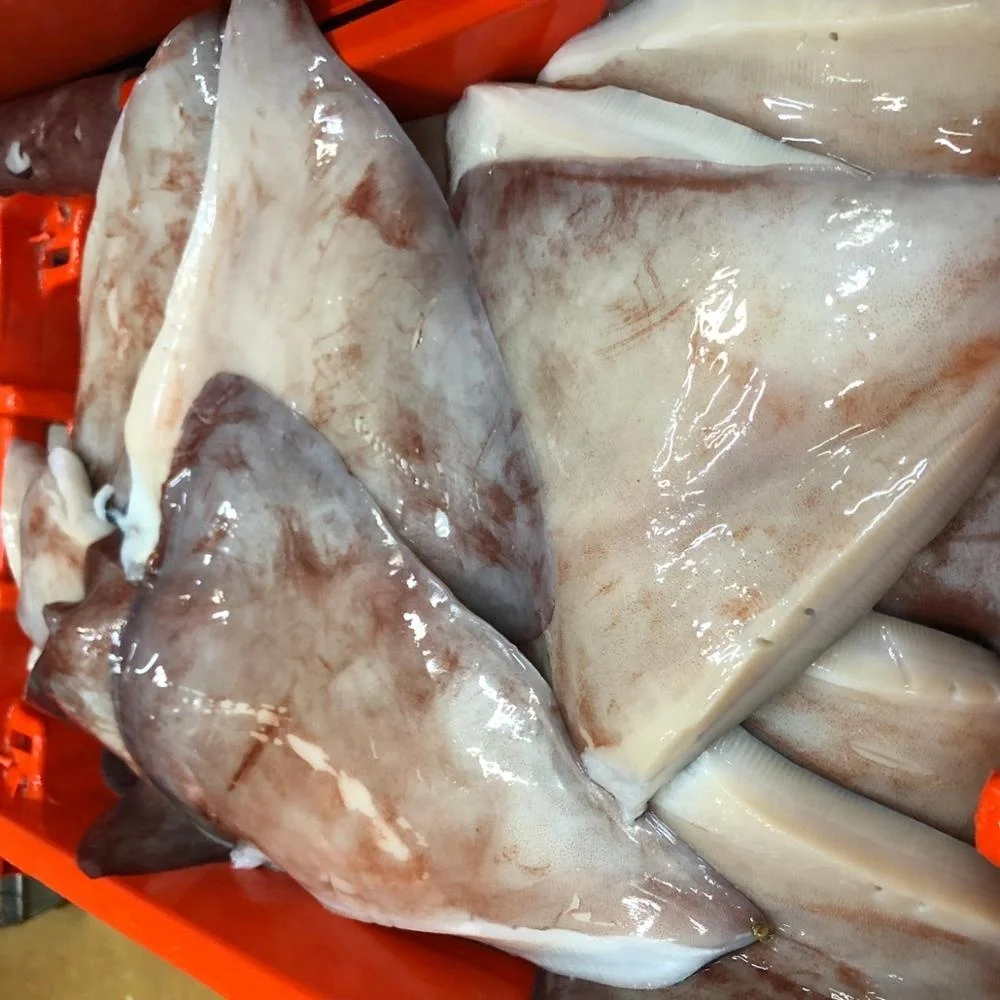 Peru Origin Factory Price Frozen Giant Squid Wings From Peru
