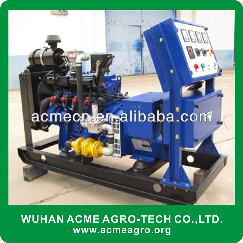 ACME Closed Water Cooling 10 kw Biogas Power Generator Silent