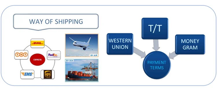 shipping 
