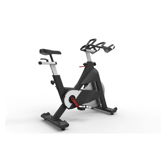 professional exercise bike