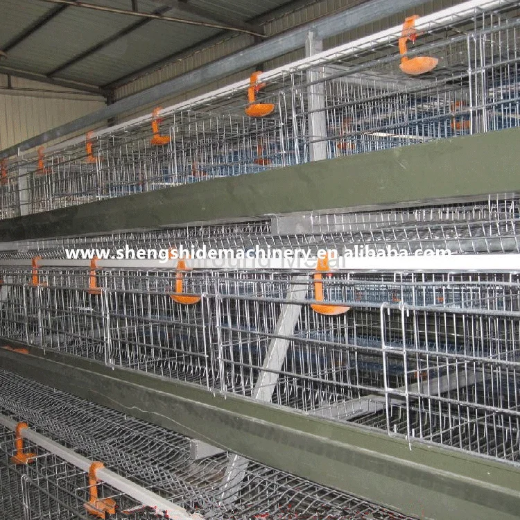 Poultry Used Chicken Farm Layer Cages for Sale in Zimbabwe