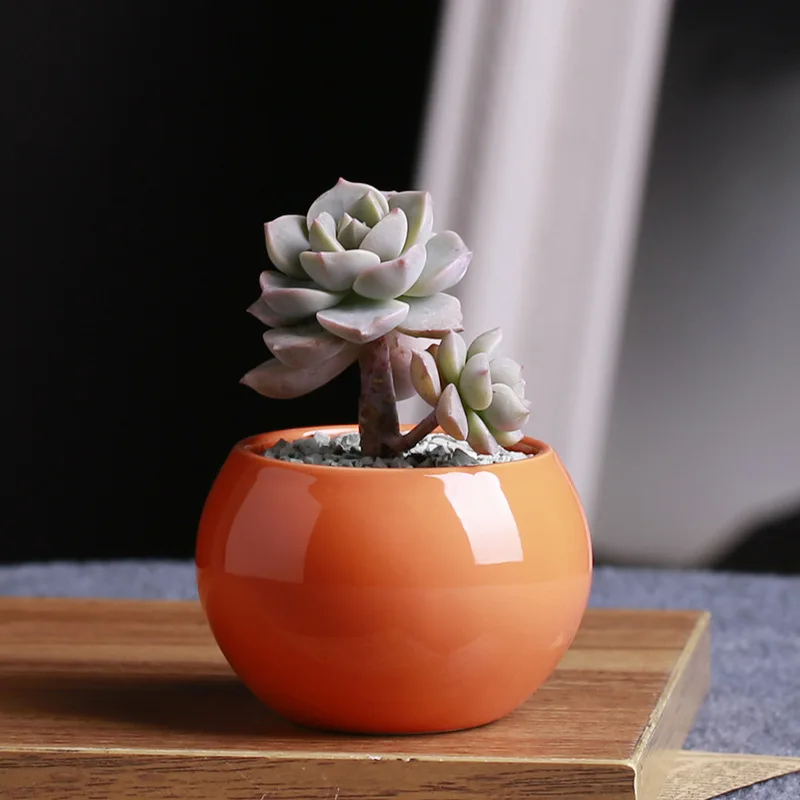 Aphacatop Kreatif Orange Bulat Kecil Succulent Tanaman Bunga Pot Pot Tanaman Buy Succulent Tanaman Pot Pot Bunga Kecil Pot Bunga Product On Alibaba Com