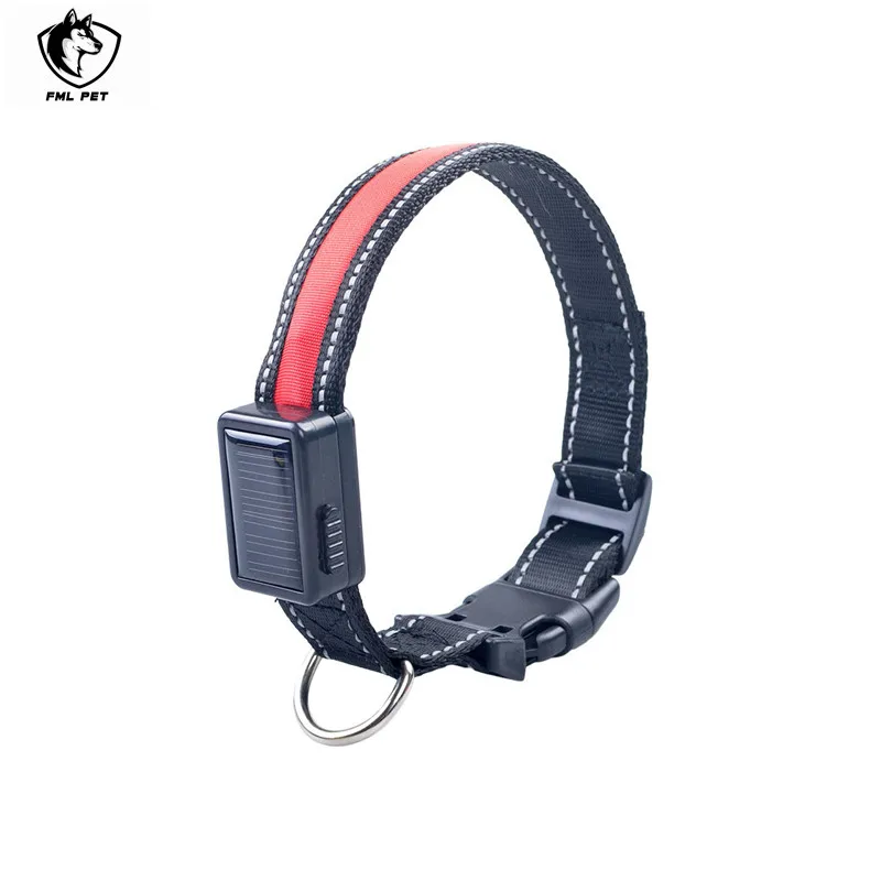 flash dog collar