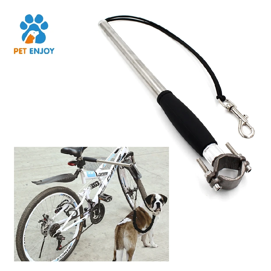 retractable wire dog leash