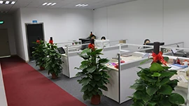 Foshan Duoyilai Trading Co., Ltd 3