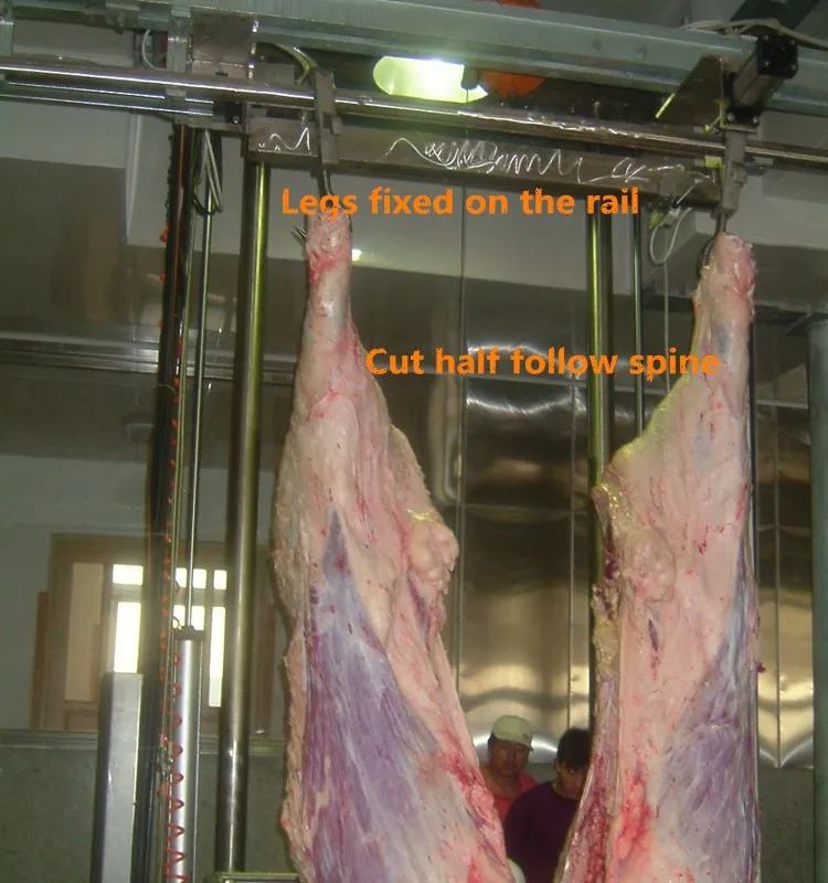 Fully automatic cattle slaughtering machine for beef processing and slaughterhouse production lines