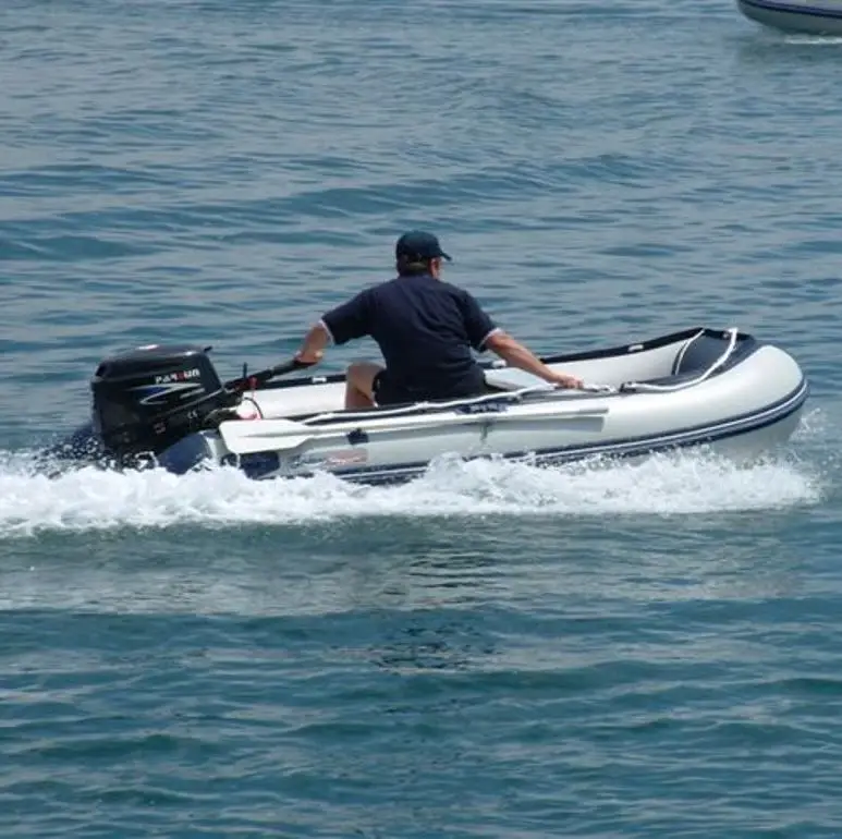 F15BWS / Electric Start / Tiller Control /short Shaft / PARSUN / 15hp 4-stroke Outboard Motor