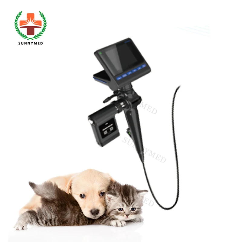 Syp 5010 Vet Electronic Endoscopy Portable Handheld Video Dog Endoscope Buy Dog Endoscope Video Dog Endoscope Electronic Endoscopy Product On Alibaba Com