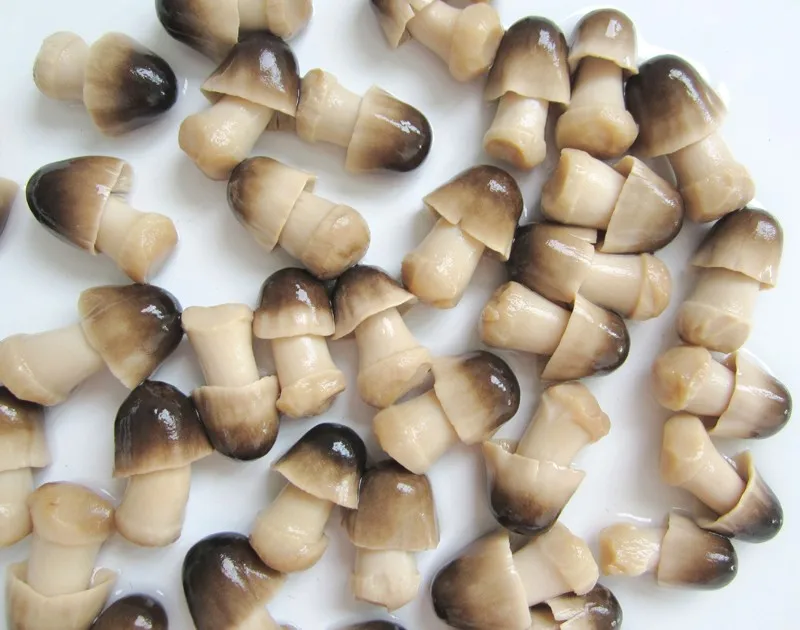 fresh whole straw mushroom in tin