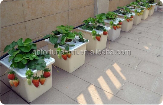 Wholesale Hydroponics Tomato Dutch Bucket View Tomato Dutch Bucket Dutch Bucket Product Details From G And N Fortune Limited On Alibaba Com