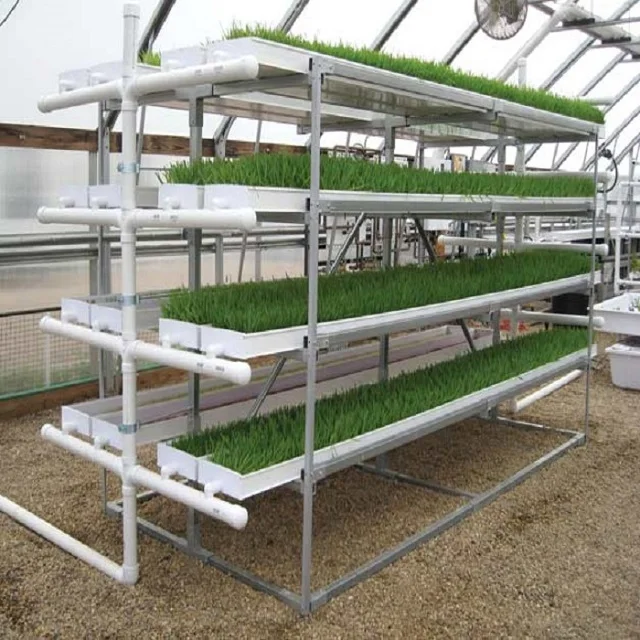 Greenhouse Fodder Hydroponic Growing System Complete Vertical Indoor Hydroponic Lighting Growing Systems