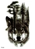 TH-353