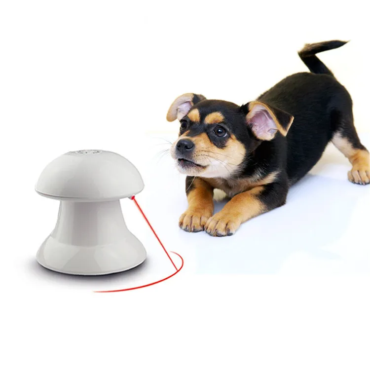 Cat Dog Catch Interactive Cat Laser Toy Scratching Chaser Exercise Entertainment Training Tool Cat Toys Interactive