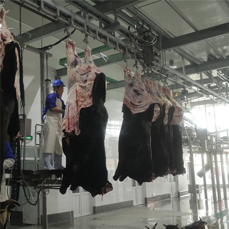 Donkey meat slaughterhouse processing and slaughtering machine