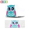 Hibou-Multicolore