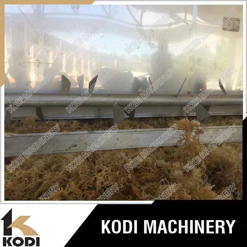 KODI Continous Mesh Belt Seaweed Processing Machine