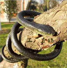 2016 Free shipping Super simulation Toy snake Creative Tricky Funny scary snake April Fool s Day