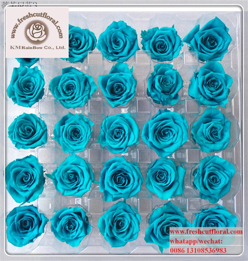 Export High Quality Glycerin Preserved Roses From Rainbow Floral Company For Flower Shop Flowers Buy Preserved Rose Head Flower Wholesale Preserved Roses Cheapest Wholesale Preserved Roses Flowers Product On Alibaba Com