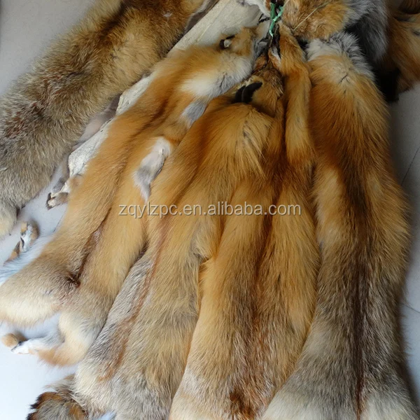 animal fox fur