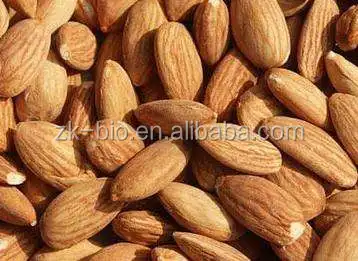 Hot Selling Almond Kernel Bitter Almond Kernel Sweet Almond Kernel Buy Almond Kernel Bitter Almond Kernel Sweet Almond Kernel Product On Alibaba Com