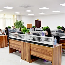Shenzhen Dwg Watch & Clock Company Limited 2