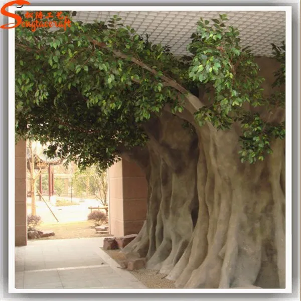 Welcomed by Foreign Large Live Ficus Tree Baobab Trees for Sale