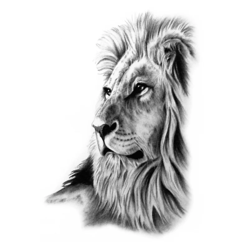 Tribal Lion Head With Black Ink Punjabi Khanda Tattoo Stencil khanda with  lion HD phone wallpaper  Pxfuel