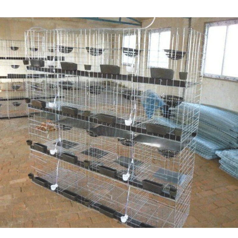 2024 Design Mesh Wire Breeding Cage for Pigeons