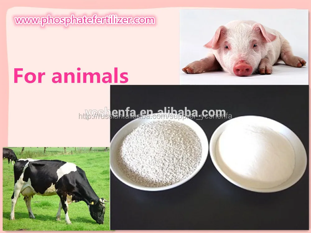 корма для птицы свиней tcp 18% трикальцийфосфат добавки здоровой промоторной