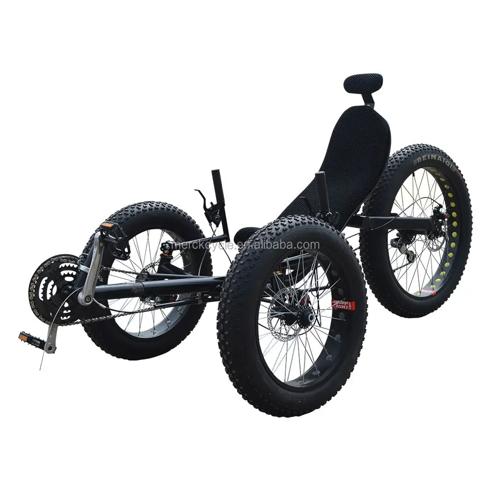 Zzmerck cheap recumbent trike