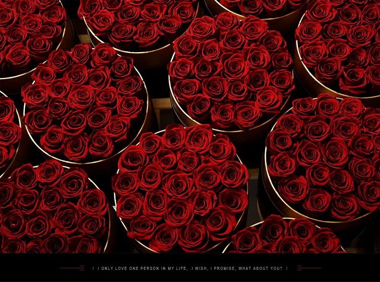 Hfloral Eternal Long Lasting Roses Real Flowers Real Natural Preserved Roses Flowers And Plants