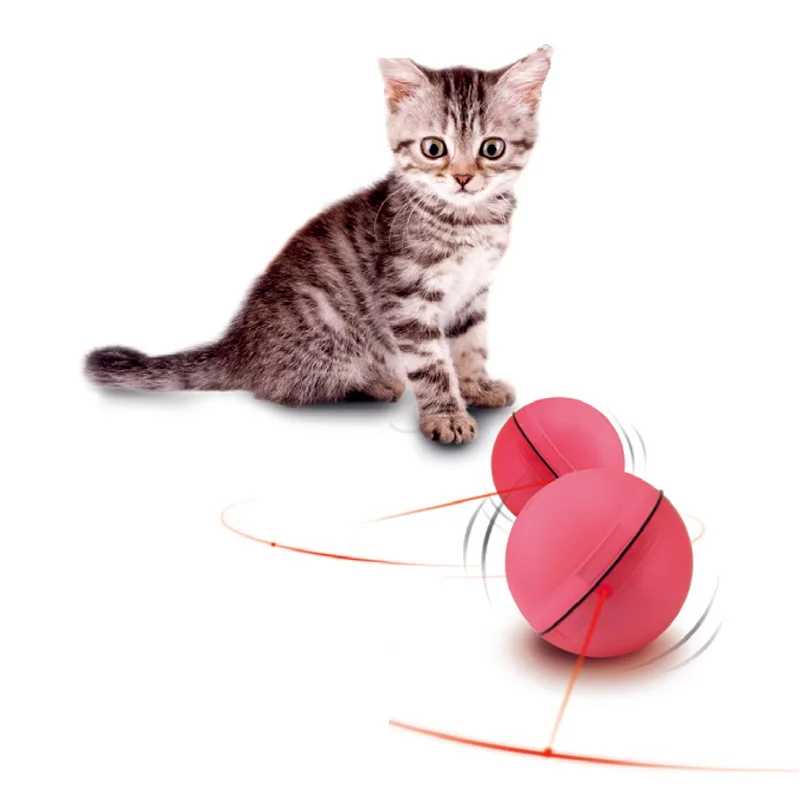 magic ball cat toy