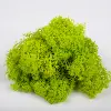 Verde vívido