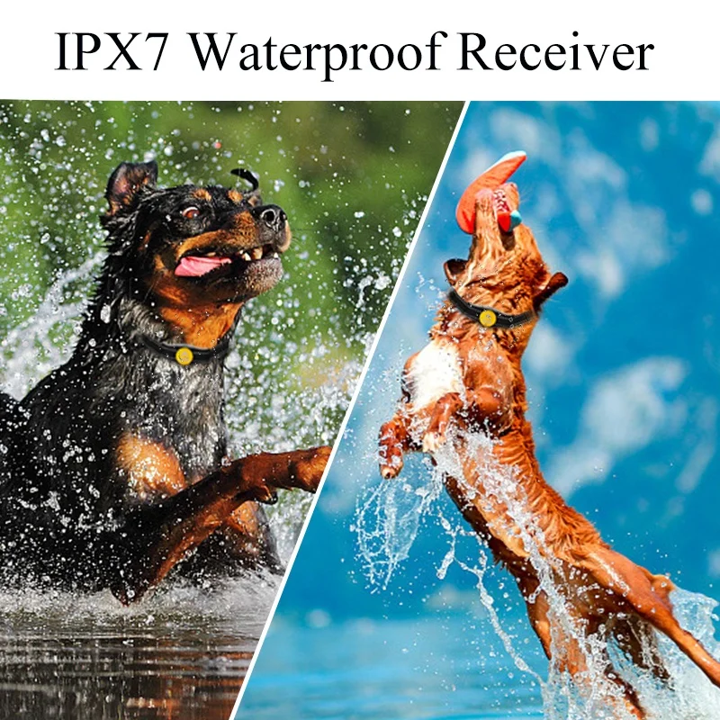 Humane Training Custom Plastic Shock Collars for Dogs-Waterproof Rechargeable Eco-Friendly Agility Training Collars