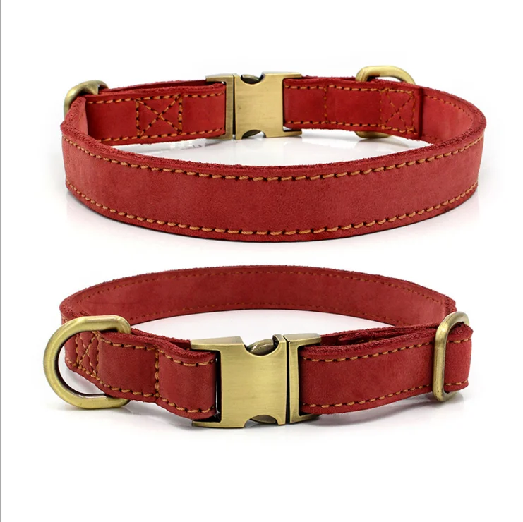 cute leather dog collars