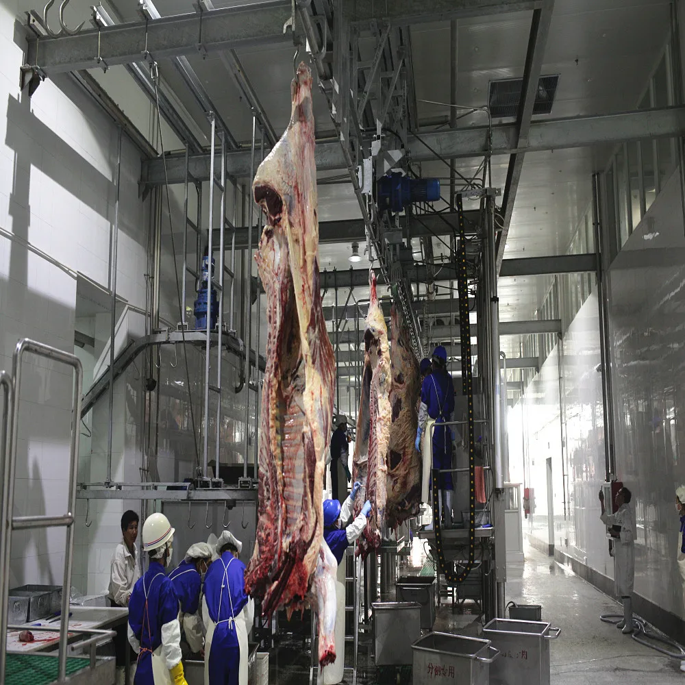 Cattle Slaughter Line Slaughterhouse/Goat Sheep Buffalo Abattoir Equipment