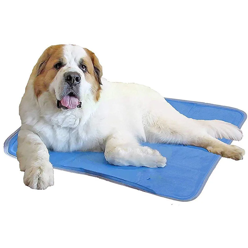 dog cooling accessories