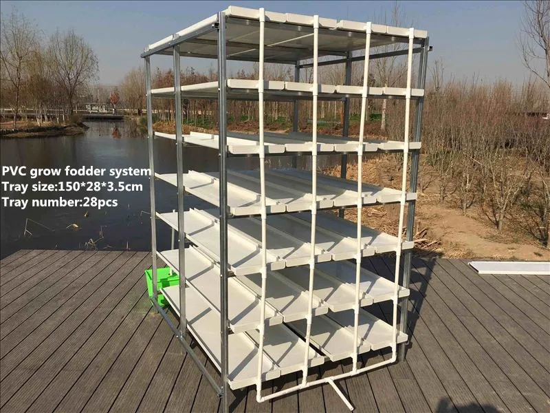 1 Meters Hydroponic Trays Food Grade Plastic PVC Tray Material Origin Type Hydroponics Barley Fodder Tray