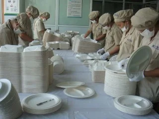 Wenzhou Keyi Environmental Protection Tableware Co., Ltd. 1