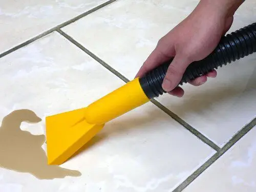 Cheaper Price Car Cleaning Tool 12V Wet Dry Car Vacuum Cleaner