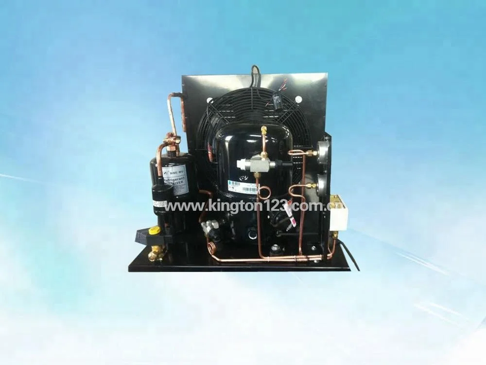 4HP Tecumseh Compressor Condensing Unit for Cold Room