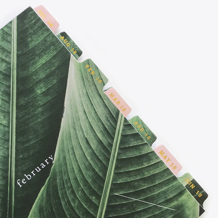 
 Индивидуальный Еженедельный планировщик с резинкой для студентов  