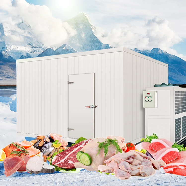 Small CBM Building Mini Cool Storage Room
