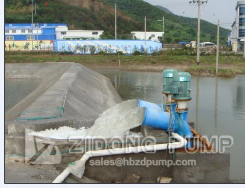 ZLH Vertical Propeller Axial Flow Pump Aquaculture Fish Farming Water Pump