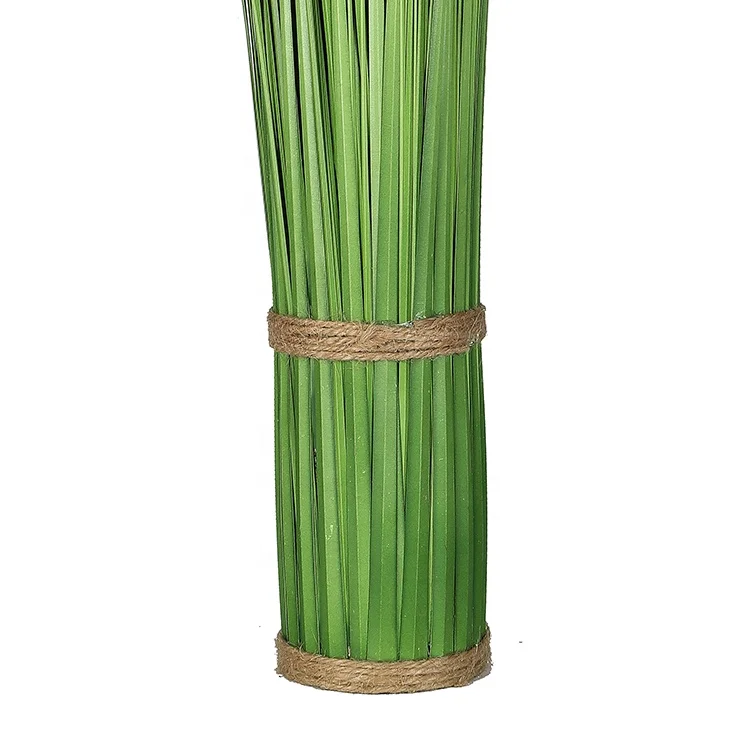 New Arrival Natural Green Tall Long Grass Onion Grass For Garden