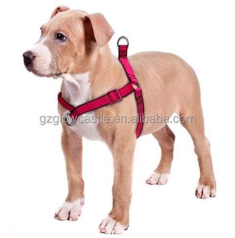 dog harness waterproof