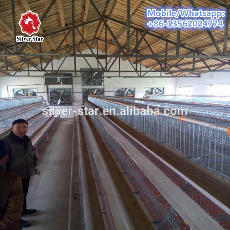 Enriched Colony System Poultry Chicken Cage Laying Hens