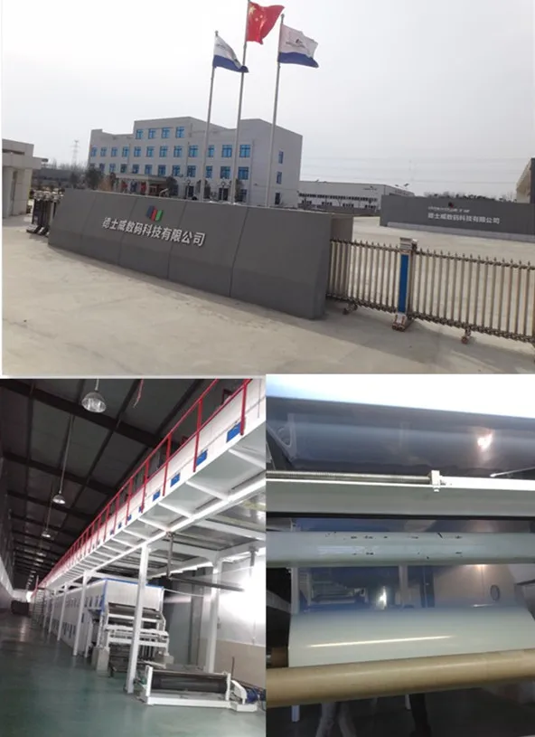 Nanyang Deshiwei Digital Technology Co., Ltd.