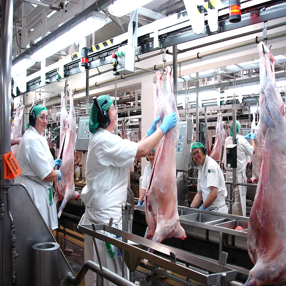 Sheep and goat slaughtering line equipped with meat deboning equipment