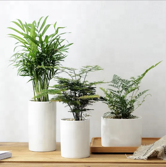 White Ceramic Flower Pot Office Desktop Green Plant Potted - Buy Simple  Indoor Flower Pots,Family Useful Pots,White Ceramic Flower Pots Product on  